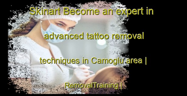 Skinart Become an expert in advanced tattoo removal techniques in Camoglu area | RemovalTraining | RemovalClasses | SkinartTraining-Turkey